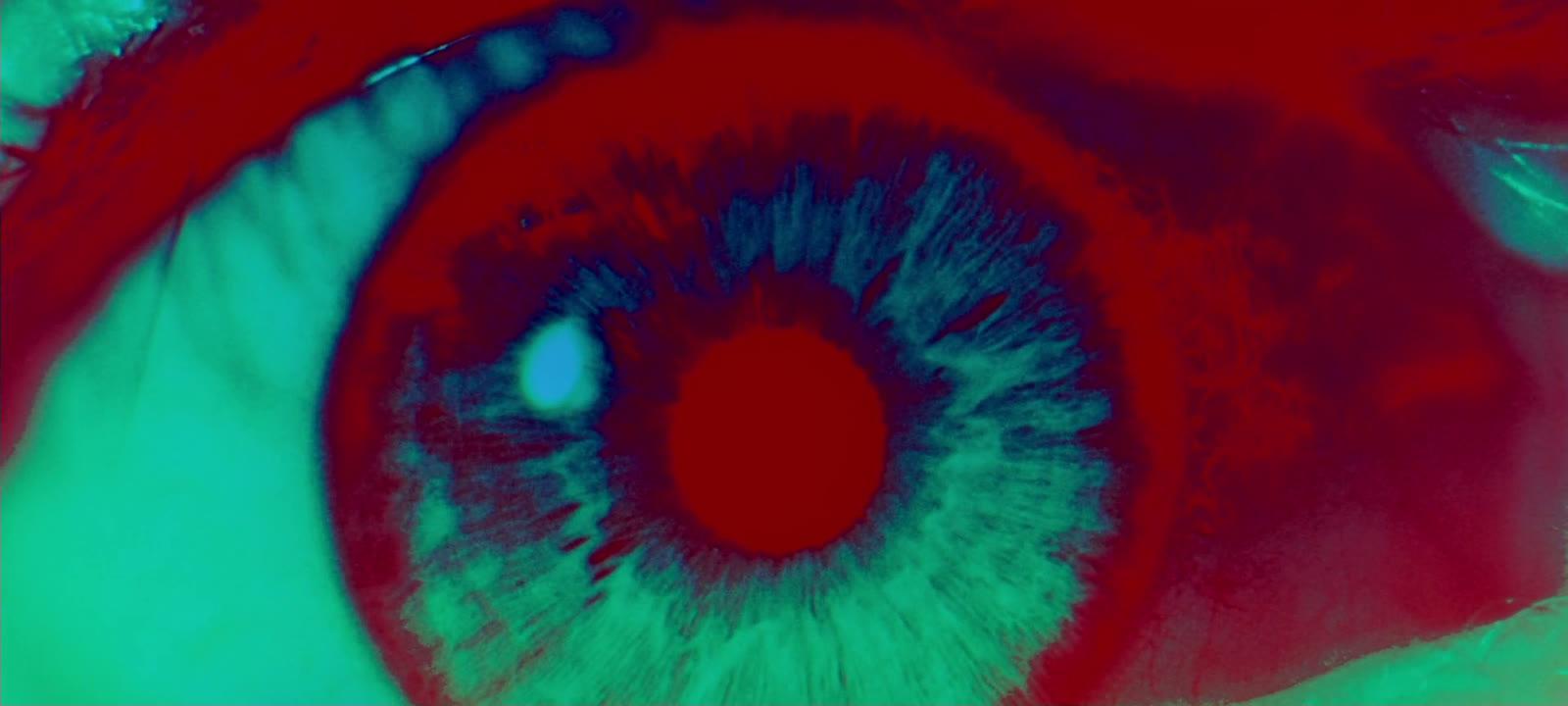 2001: A Space Odyssey film still at 02:11:24.022